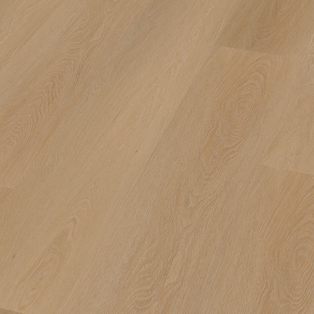 6512261119_3d_0c963651