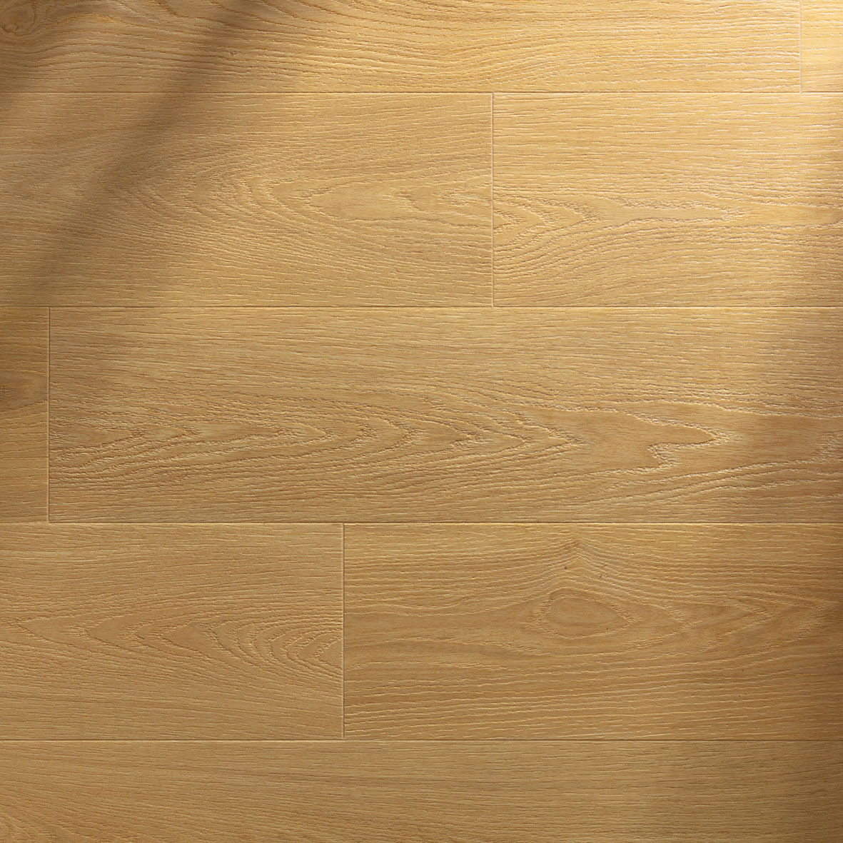 F025_Honey_LR_RGB_for web